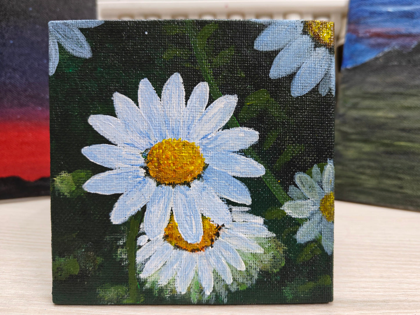 Daisy Delight
