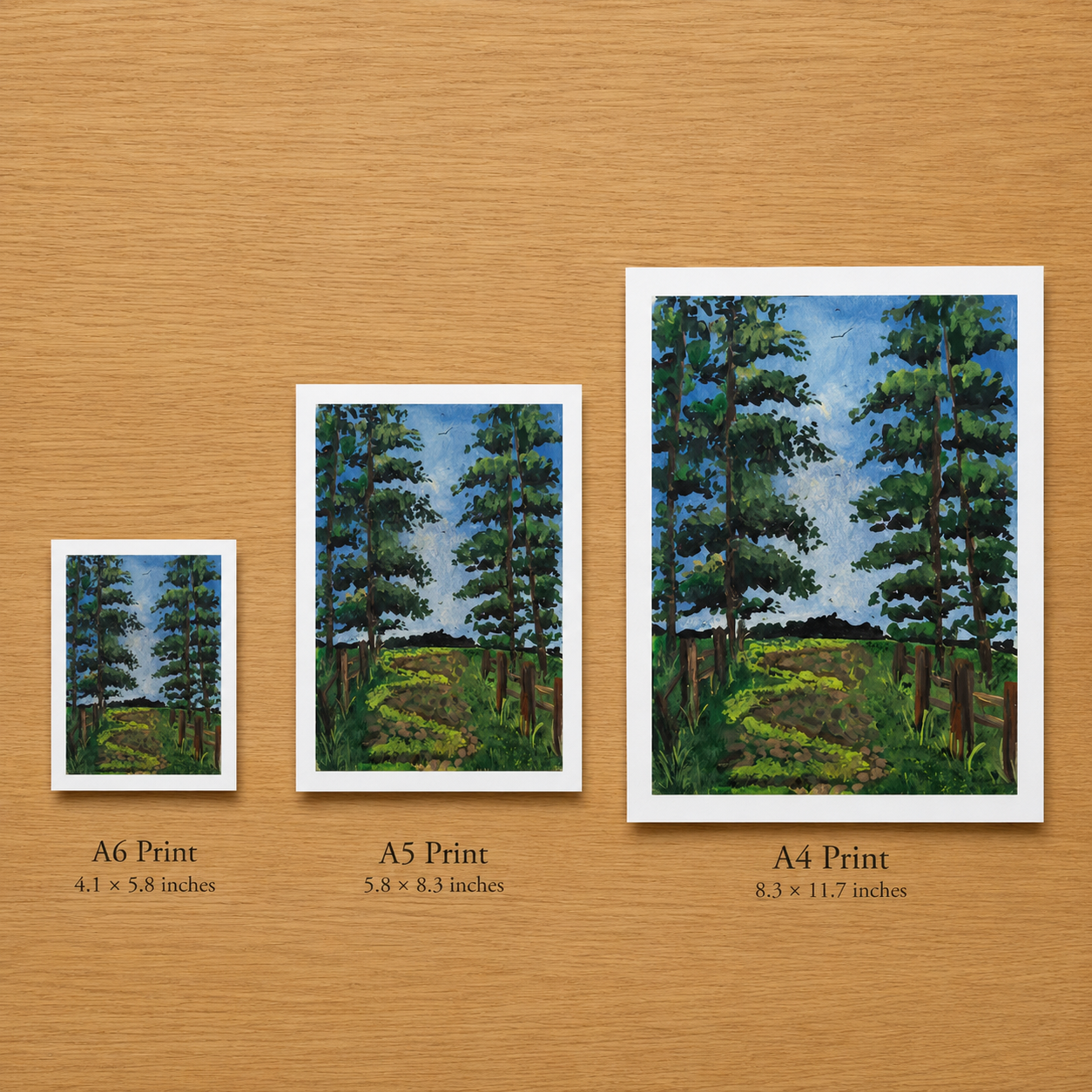 Where the Trees Lean In - Fine Art Print