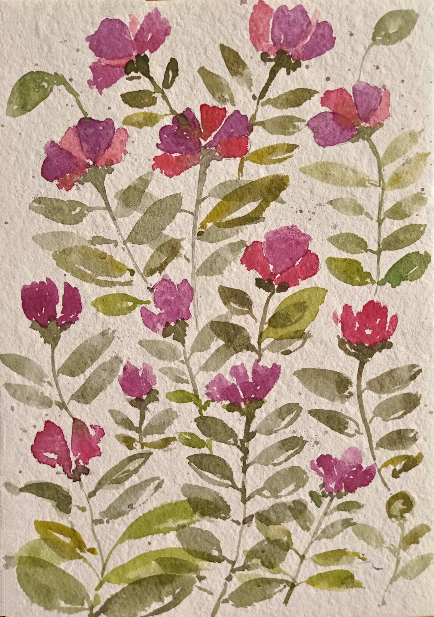 A Symphony of Colors