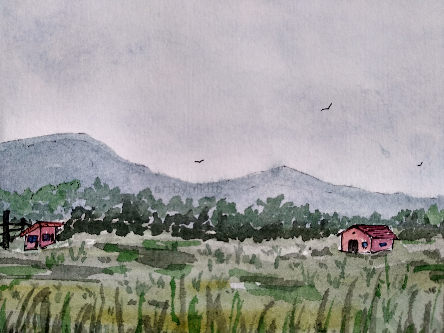 Meadows of Tranquility