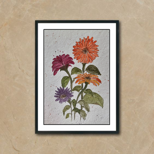 Dahlia Delight